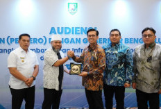 110 MW Panas Bumi: PLN 'Nyalakan' Monster Energi Baru di Sumatera