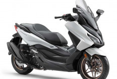 Honda Forza Makin Mewah dengan Panel TFT Baru dan Warna Eksklusif