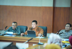 Pemkab Banyuasin Rancang Skema PPPK untuk Penugasan pada KDKMP