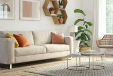 Bawa Hoki ke Rumah! Ini 6 Cara Menata Ruang Tamu Menurut Feng Shui Agar Rezeki Mengalir