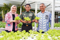 Kolaborasi Program Makan Bergizi Gratis, Bank Mandiri Region II Sumatera II Bersama Pangdam II Sriwijaya 