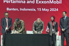 PHE dan ExxonMobil kerja sama CCS/CCUS di WK OSES