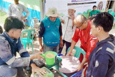 Budidaya Maggot Pakan Alternatif, Nilai Tambah Untuk Budidaya Ikan