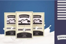 Optimasi Penyerapan Nutrisi Alami untuk Menjaga Ketahanan Fisik dan Fokus Mental di Tengah Kesibukan Kota