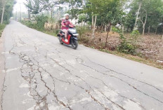 LAPOR PAK! Jalan Cor Beton Aspal Gogokan Kito Mulai Banyak Retakan