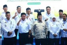 Presiden Apresiasi Kontribusi Sumsel Wujudkan Swasembada Pangan