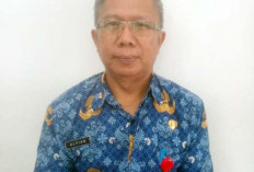 Jaga Ketersediaan Pangan, Tanam Padi dan Jagung