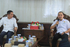 Kolaborasi Maut! HIPMI Palembang dan Wali Kota  Ratu Dewa Bersatu Genjot Ekonomi Kota Pempek