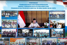 Presiden Prabowo Resmikan Proyek Energi Terbarukan di 15 Provinsi, PGE Mulai Eksplorasi PLTP Gunung Tiga 55 MW