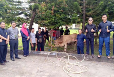 150 Kantong Daging Kurban Dibagikan PN Prabumulih