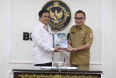 Pj Bupati Banyuasin Serahkan LKPD Tahun 2023