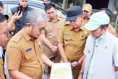Ratu Dewa Tinjau Terminal Karya Jaya Untuk Kantong Parkir Kendaraan Besar