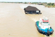 Harga Batu Bara DMO PLN Berpotensi Naik, PTBA Dukung Kebijakan Pemerintah