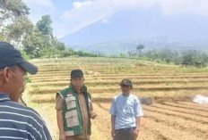 Krisis Air Intai Lereng Dempo, Petani Terancam Gagal Panen