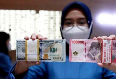 Didukung Kinerja Positif Perbankan Domestik, Rupiah Menguat Atas Dolar