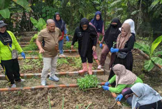 Pemkab PALI Luncurkan Gerakan Tanam Cabai Serentak