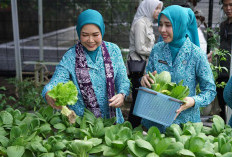 Kebun Wisata Bernilai Ekonomi 