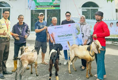 Astra Motor Sumsel Pererat Hubungan Sosial Lewat Penyaluran Hewan Kurban