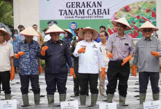 Cegah Inflasi, Launching Gerakan Tanam Cabai Merah dan Bawang Merah