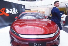 Pasar Mobil Listrik Dunia Tumbuh Kuat, BYD dan Tesla Adu Cepat