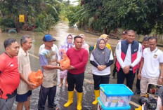 Hujan Deras Ratusan Rumah Terendam Banjir 