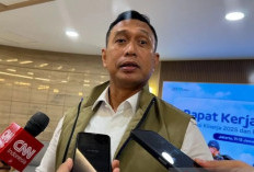 Bulog Siapkan 1 Juta Ton Beras Premium  Untuk Ekspor 2026
