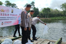  Tabur 5 Ribu Benih Ikan, Dukung Ketahanan Pangan Daerah