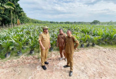 Bupati Toha Beri Diskon 50 Persen Sewa Alat Berat untuk Pembukaan Lahan