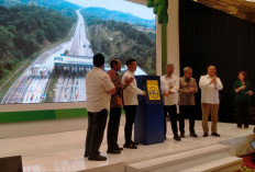 Trans Sumatera Ditumbuhi 23 Ribu Trembesi, BLDF Redam Emisi Karbon dari Sektor Transportasi