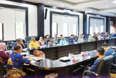 Optimalisasi Pengelolaan Website OPD Pagar Alam