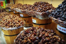 10 Jenis Kurma yang Populer di Indonesia, Buah Favorit Saat Bulan Ramadhan