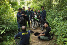 KPH X Dempo Patroli di Tengah Hutan