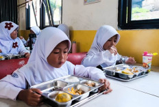Respon Cepat Pemerintah Evaluasi Program MBG untuk Perbaikan Prosedur