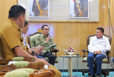 Palembang Siapkan Kawasan Industri Baru di Sungai Lais