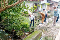 Wako Arlan Cek Langsung Progres Proyek Infrastruktur 