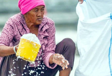 Dana Segar KUR Berbasis Kekayaan Intelektual dapat Kucuran dari Pemerintah Rp10 Triliun