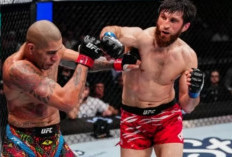 Akhir Karier Alex Pereira di UFC, Magomed Ankalaev: Dia Selesai, Lupakan Rematch!