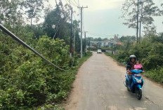 Bahaya Kabel Internet Menjuntai ke Tanah, Waspadalah 