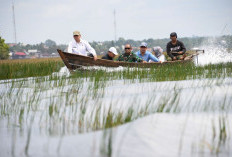 Danrem 044/Gapo Tinjau Cetak Sawah 2026
