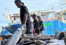 KKP Jadikan Pelabuhan Perikanan Sebagai Objek Vital Nasional