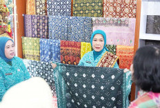Soroti Pengembangan Produk Unggulan Kota Palembang