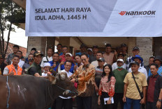 Sambut Hari Raya Idul Adha, Hankook Tire Salurkan 3,5 Ton Hewan Kurban ke Masyarakat Bekasi