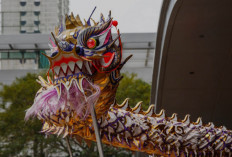 Mengenal Tari Naga (Liong): Simbol Keberuntungan dan Kekuatan dalam Budaya Tionghoa