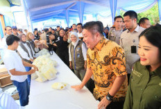 Gerakan Pangan Murah Jadi Langkah Antisipasi Panic Buying 