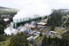 PLN Genjot Proyek Panas Bumi, Dorong Swasembada Energi Nasional