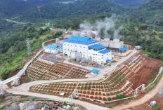 PGE Catat All-Time High Produksi, Bukukan Kinerja Solid Pada Kuartal IV-2025