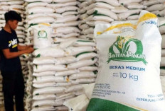 Bulog Tegas: Pelaku Judi Online dan Terorisme Tidak Berhak Terima Bantuan Pangan