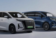 Segmen Premium, BYD Hadirkan Denza D9 versi PHEV di Indonesia