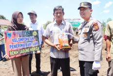 Penanaman Jagung Serentak Kuartal IV di Lahat
