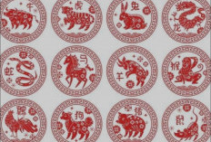 6 Shio Ini  Dapat Hoki Besar di 17 Agustus 2025, Shio Anda Termasuk?
